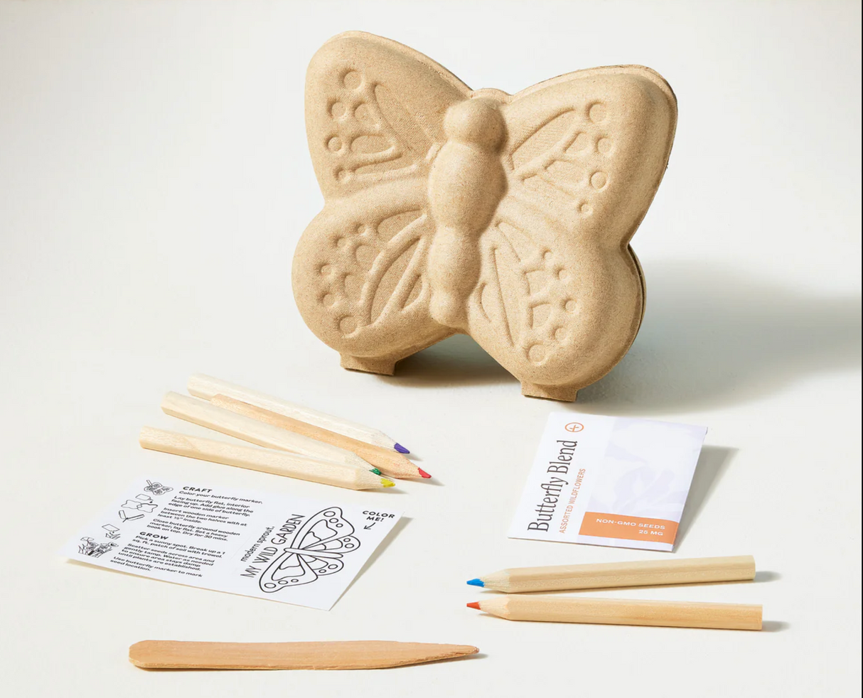 Curious Critters Butterfly Activity Kit with butterfly paper pulp critter, wildflower seeds, colored pencils, and wooden marker.