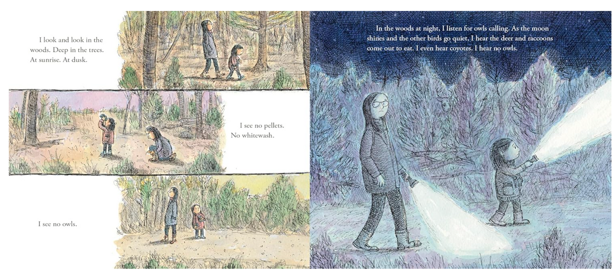 To See An Owl book illustration showing a child and adult quietly searching in the woods at dusk with flashlights.