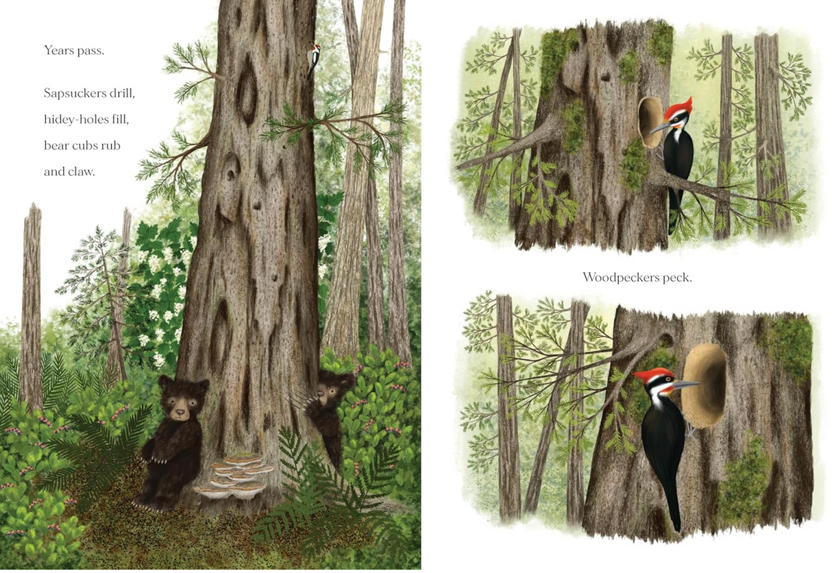 Illustration from "When a Tree Falls" showing bear cubs and woodpeckers interacting with a large forest tree.
