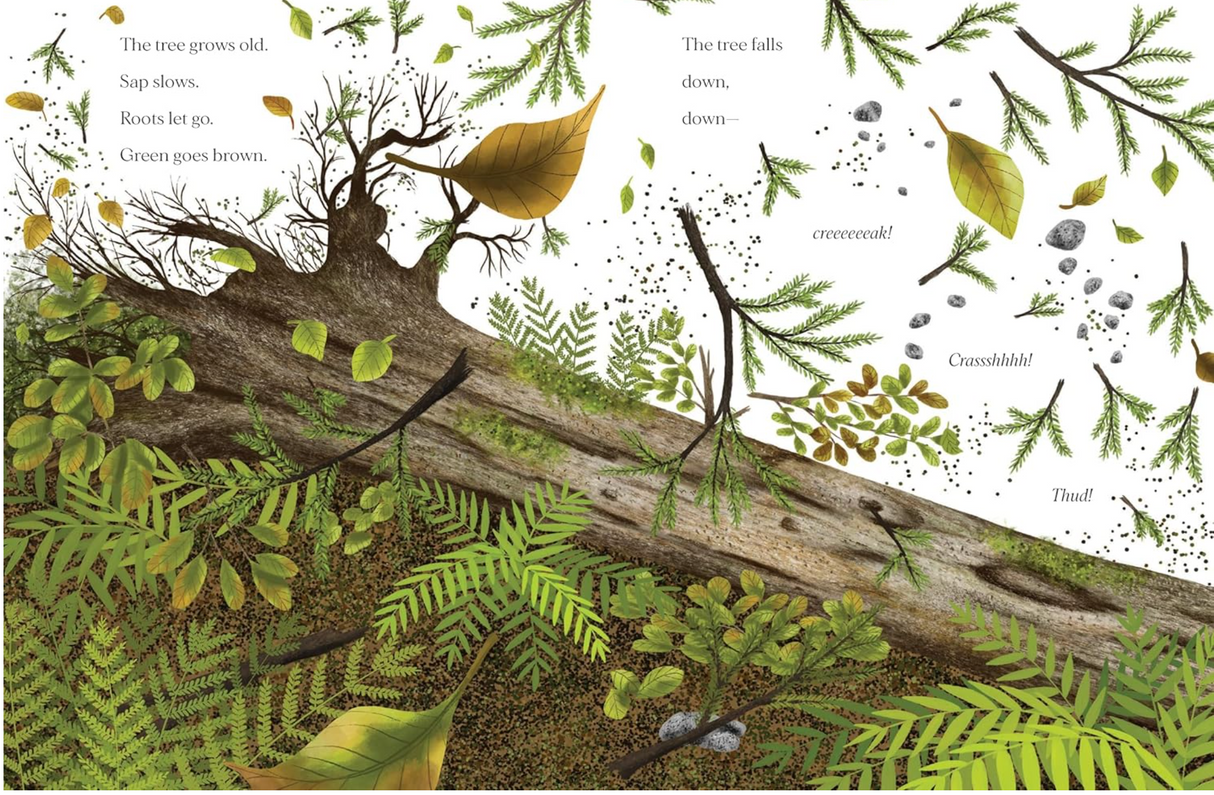 When a Tree Falls illustration showing a fallen tree surrounded by leaves, branches, and forest floor details.