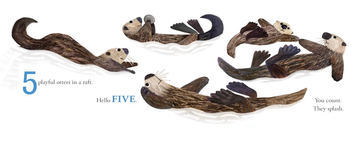 Hello Hello Numbers board book page showing five playful otters floating on water teaching counting to kids.