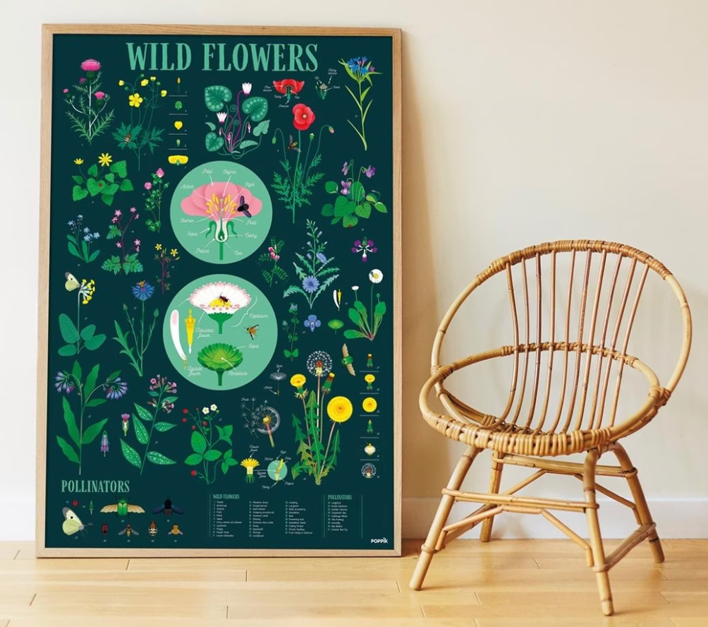 Poppik Discovery Poster Botanic showing wildflowers and pollinators with detailed plant illustrations for kids learning.