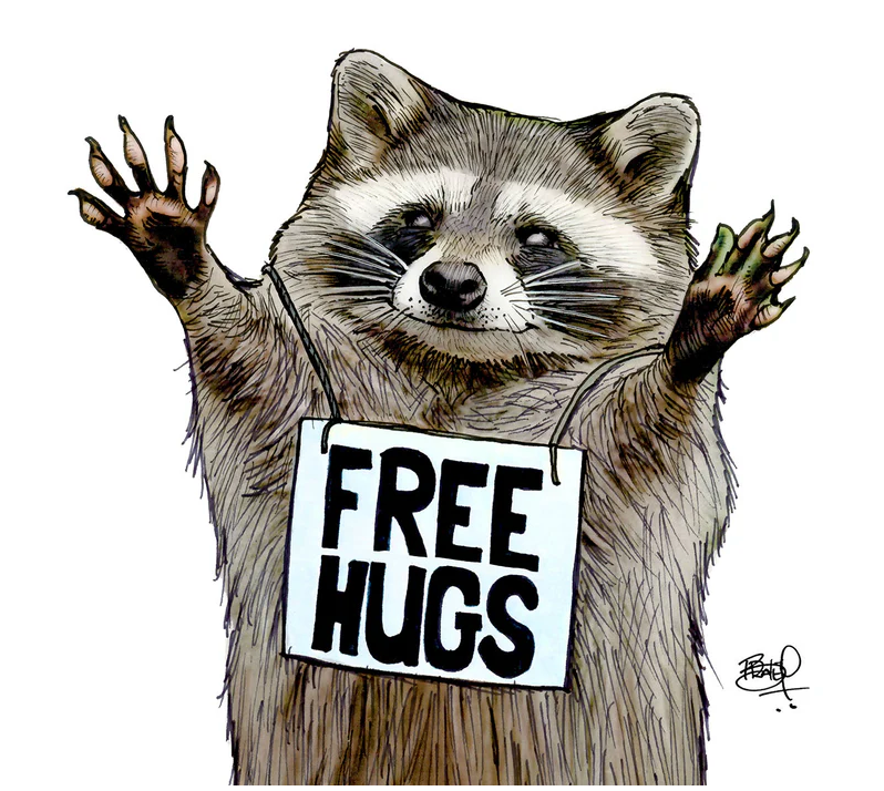Illustration of a raccoon with arms wide open holding a sign that says Free Hugs on a greeting card.