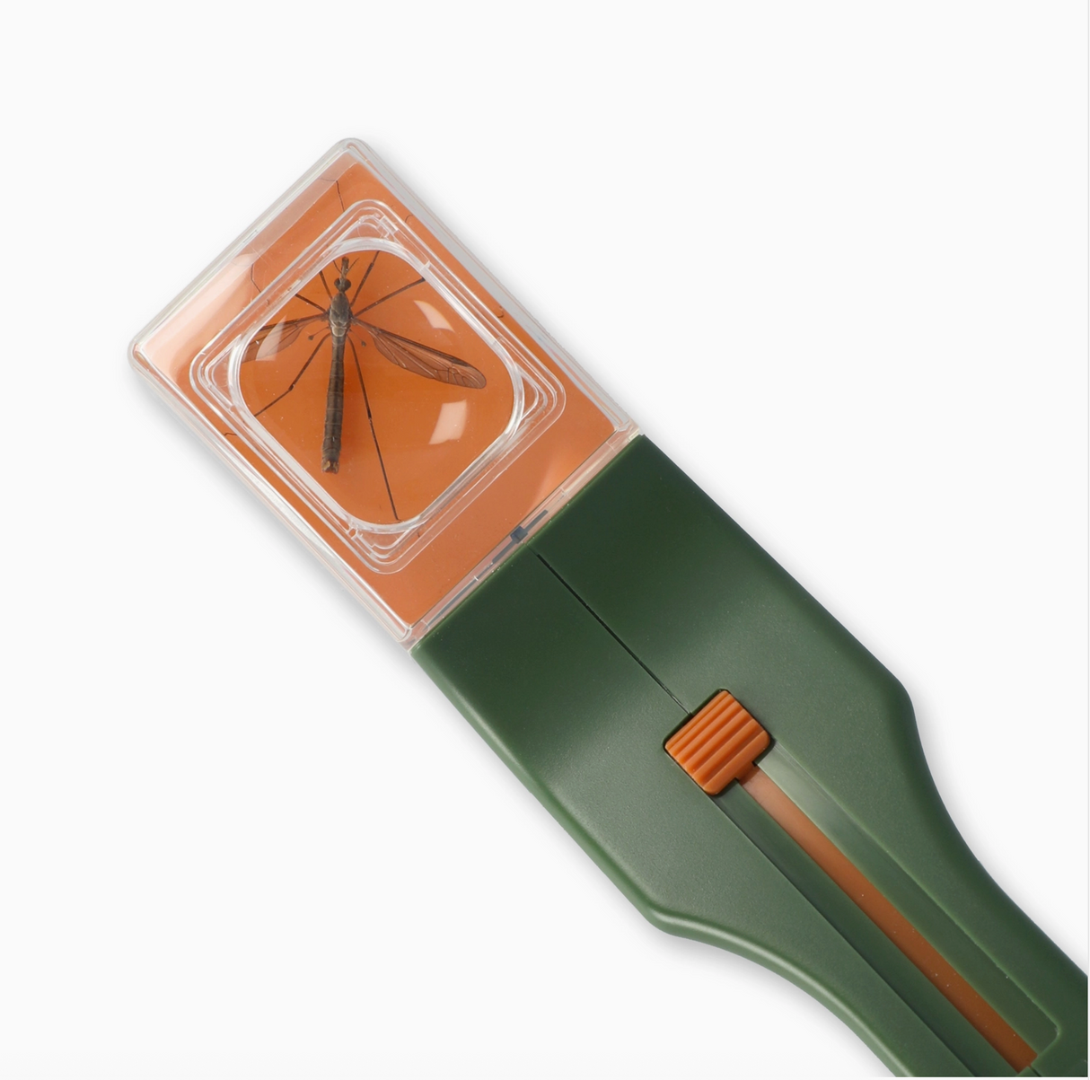 Green bug catcher with magnifier holding a captured insect for close observation and study by children and adults