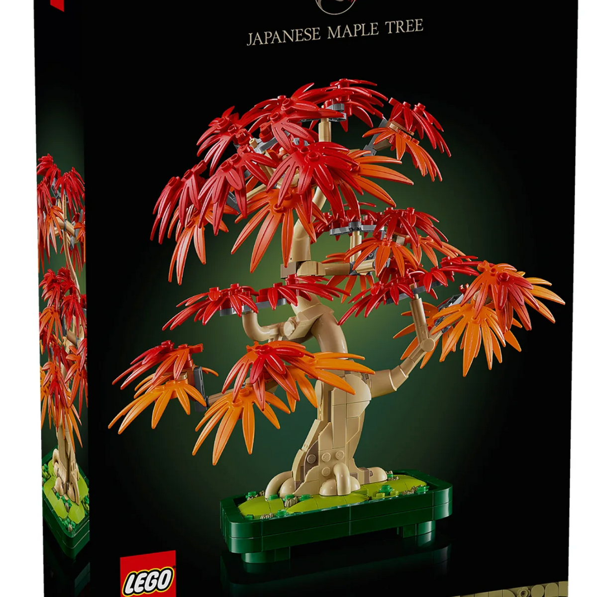 Botanicals Japanese Red Maple Bonsai Tree – Treehouse Toys