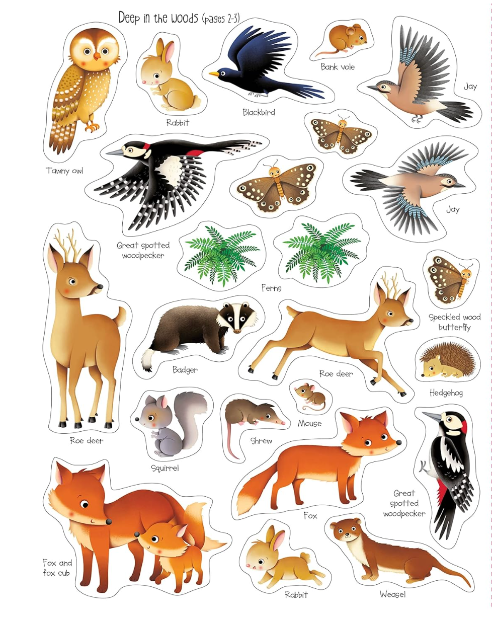 Illustrated woodland animals and plants including foxes, deer, owls, birds, and insects from a children's nature sticker book.