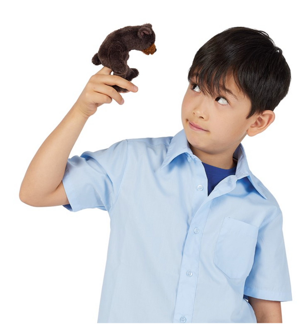 Young boy wearing light blue shirt playing with a small sitting bear finger puppet on his hand