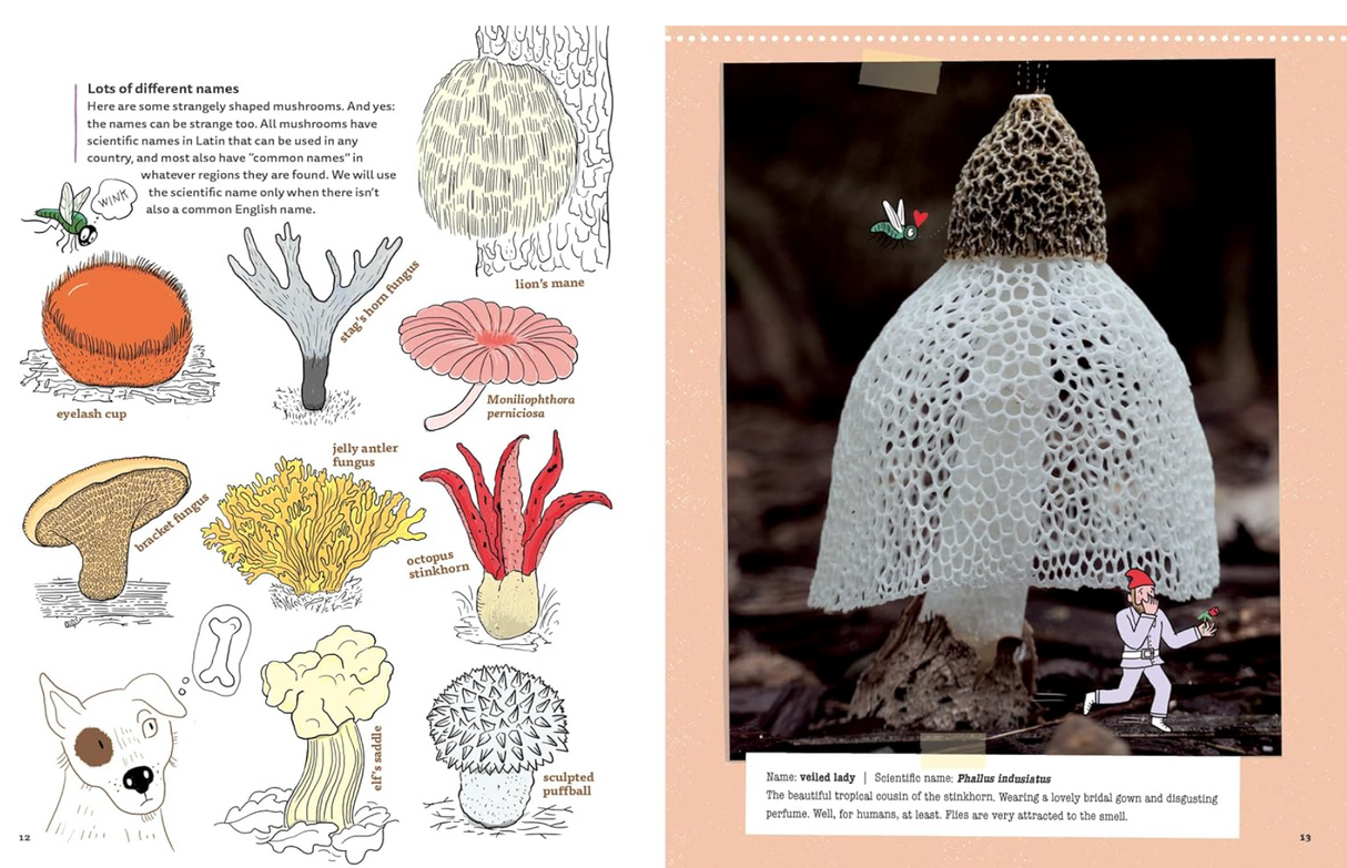 Mushrooms and Company