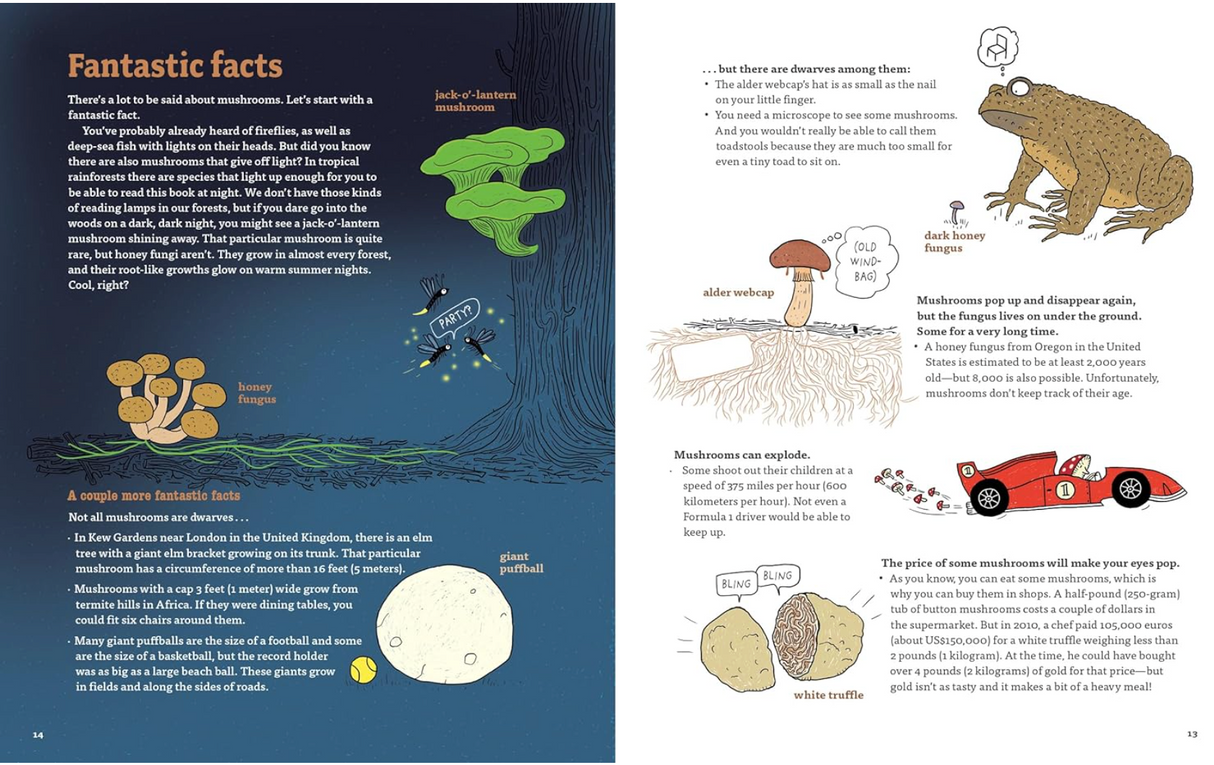 Mushrooms and Company