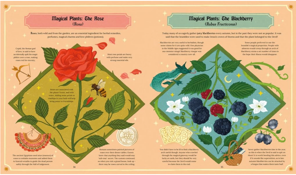 A Magical Guide to Plants