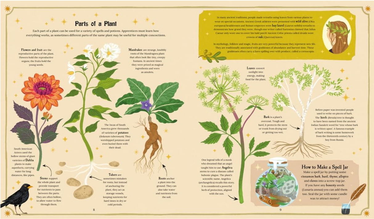 A Magical Guide to Plants