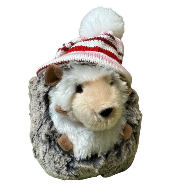 Hedgehog Spunky in Winter Hat