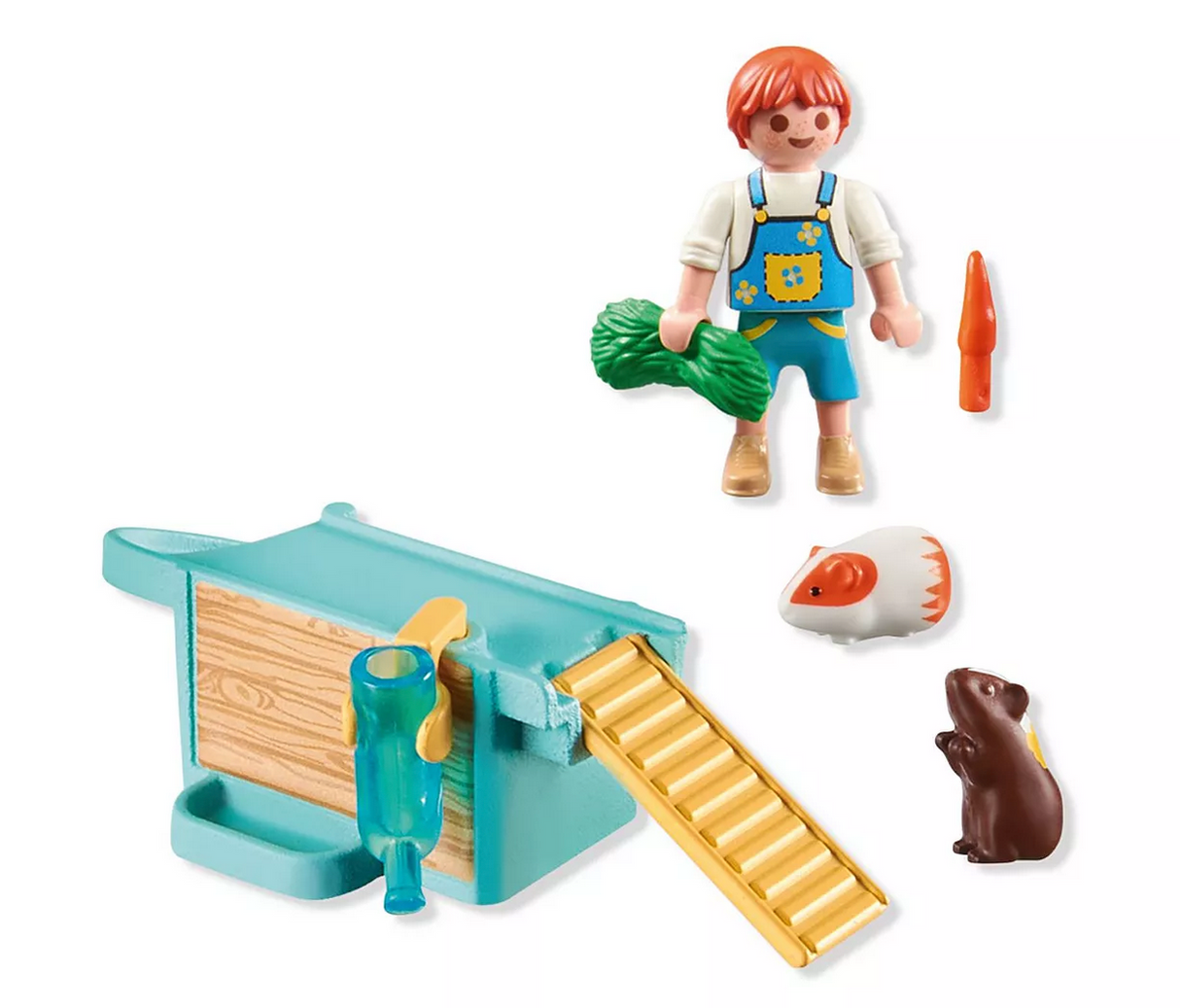 My Life | Guinea Pig House