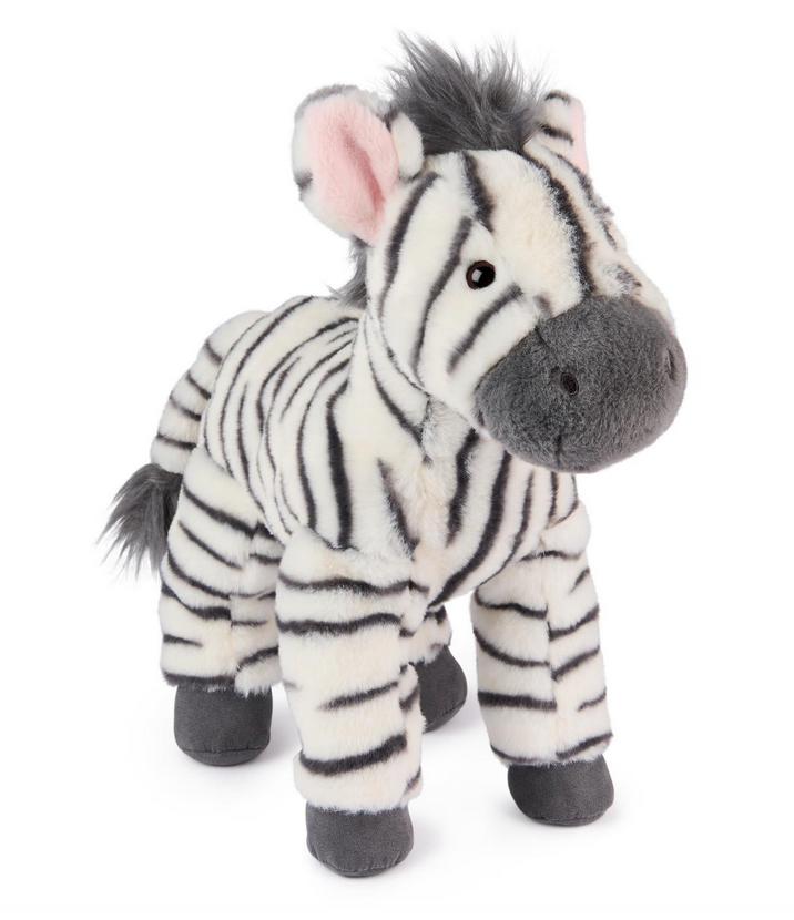 Zebra Gemma