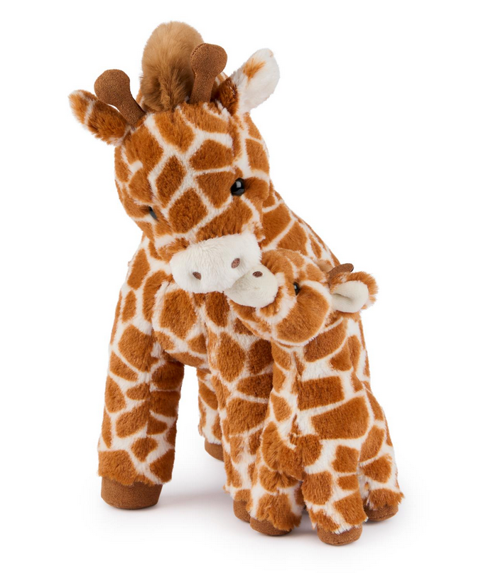 Giraffe Solana & Calf