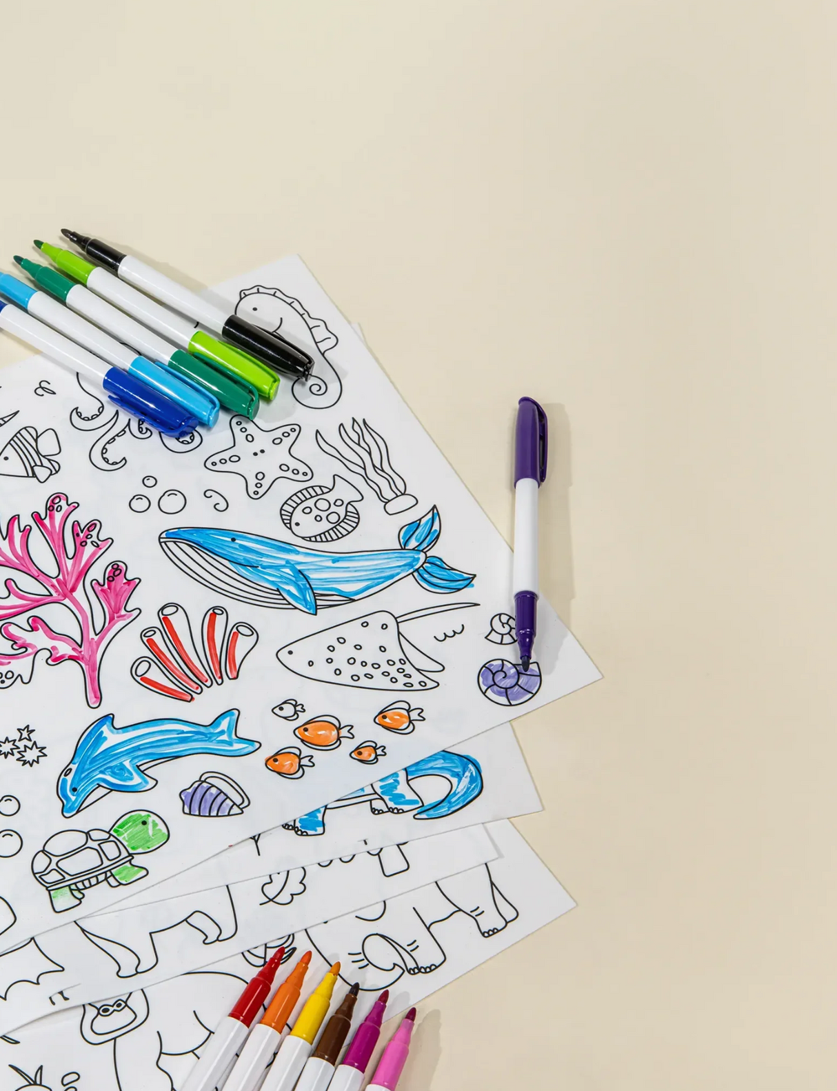 Coco Studio | Color & Wipe Placemat Set