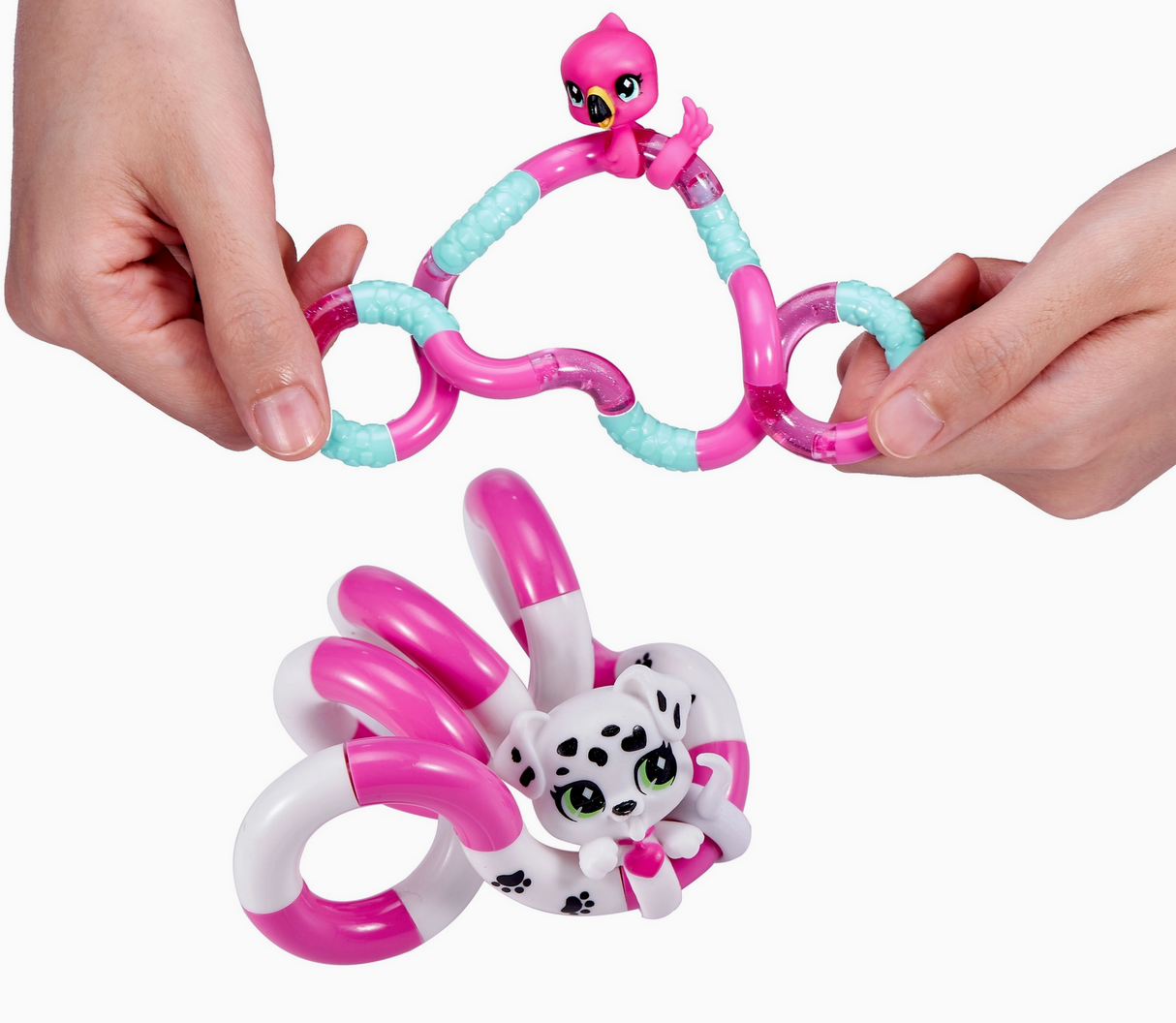 Tangle | Pets