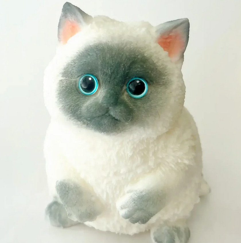 Squishy Kitty