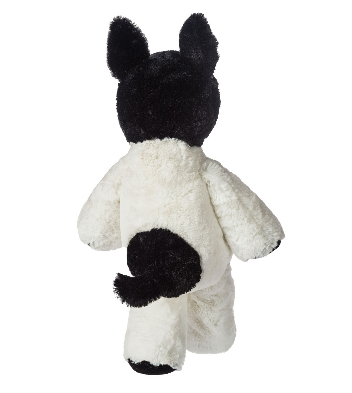 Marshmallow Terrier Trixie
