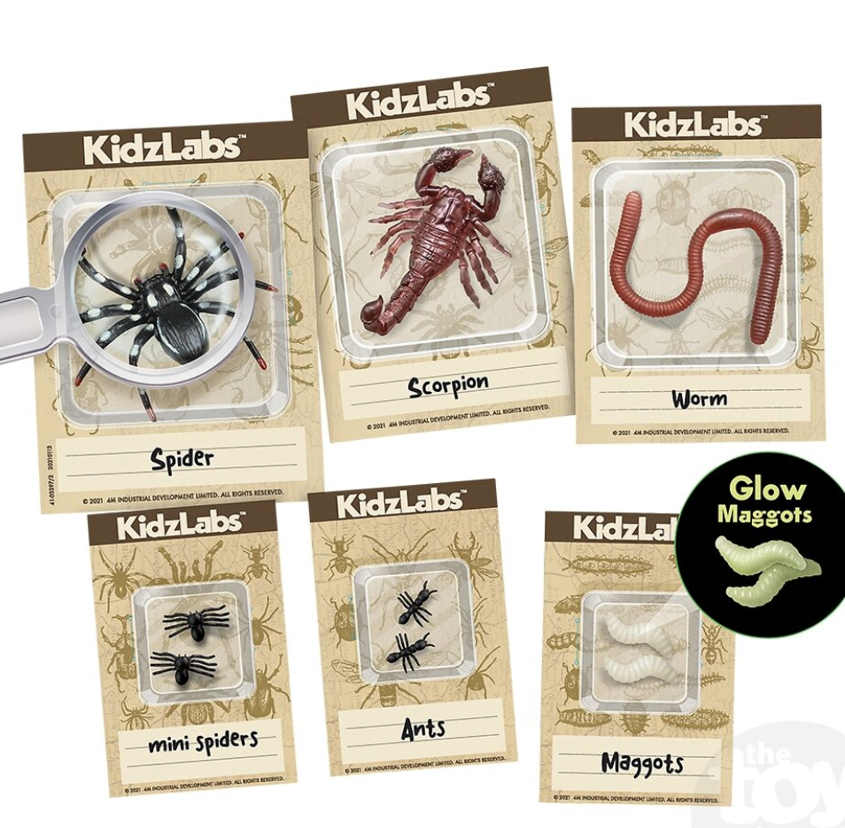 Halloween Creepy Crawling Dig Lab
