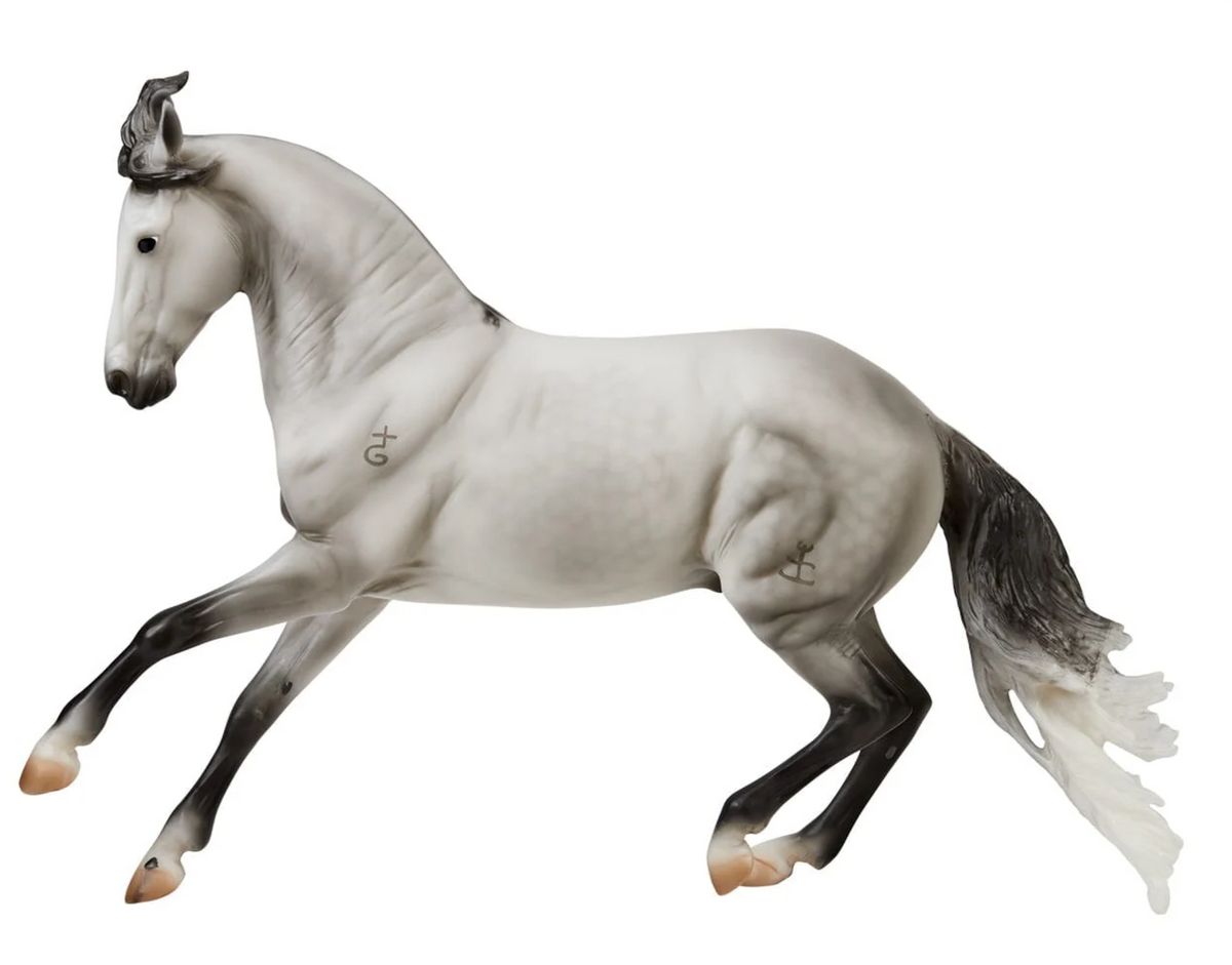 Jaguel Hilton Criollo Stallion gray horse model leaping forward