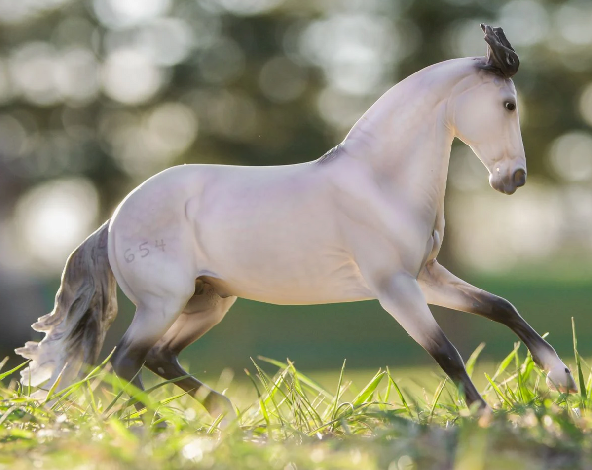 Jaguel Hilton Criollo Stallion horse model running through sunlit grass