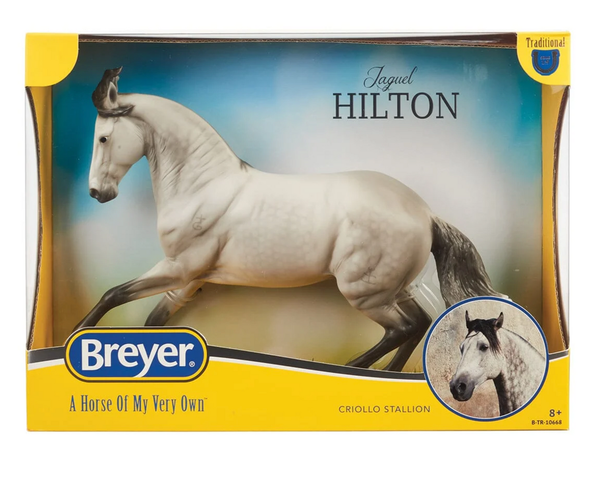Jaguel Hilton Criollo Stallion white horse model in display box