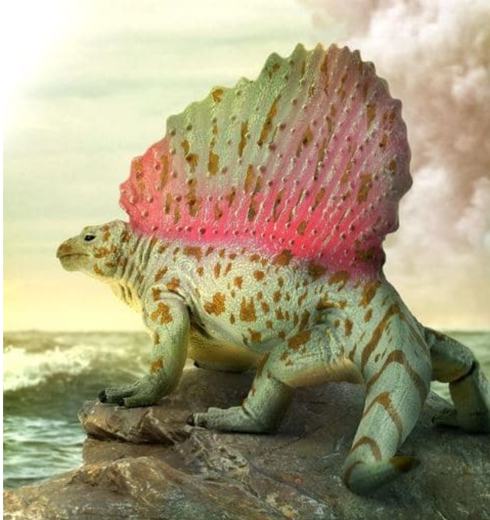 Edaphosaurus prehistoric sail backed reptile standing on a rocky shore