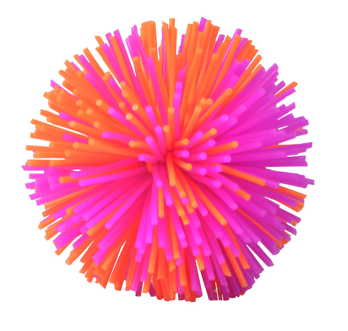 World's Smallest Koosh