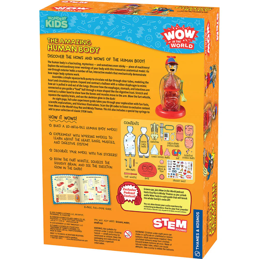 Colorful detailed educational kit box showing human body parts, interactive model pieces, and fun science activities for kids