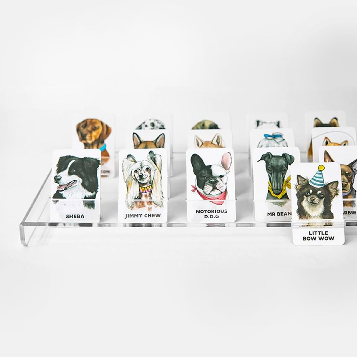 Guess the Doggy Game