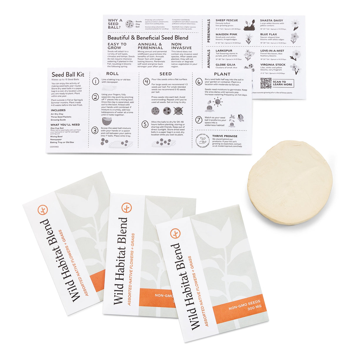 DIY Seedball Kit | Wild Habitat Garden