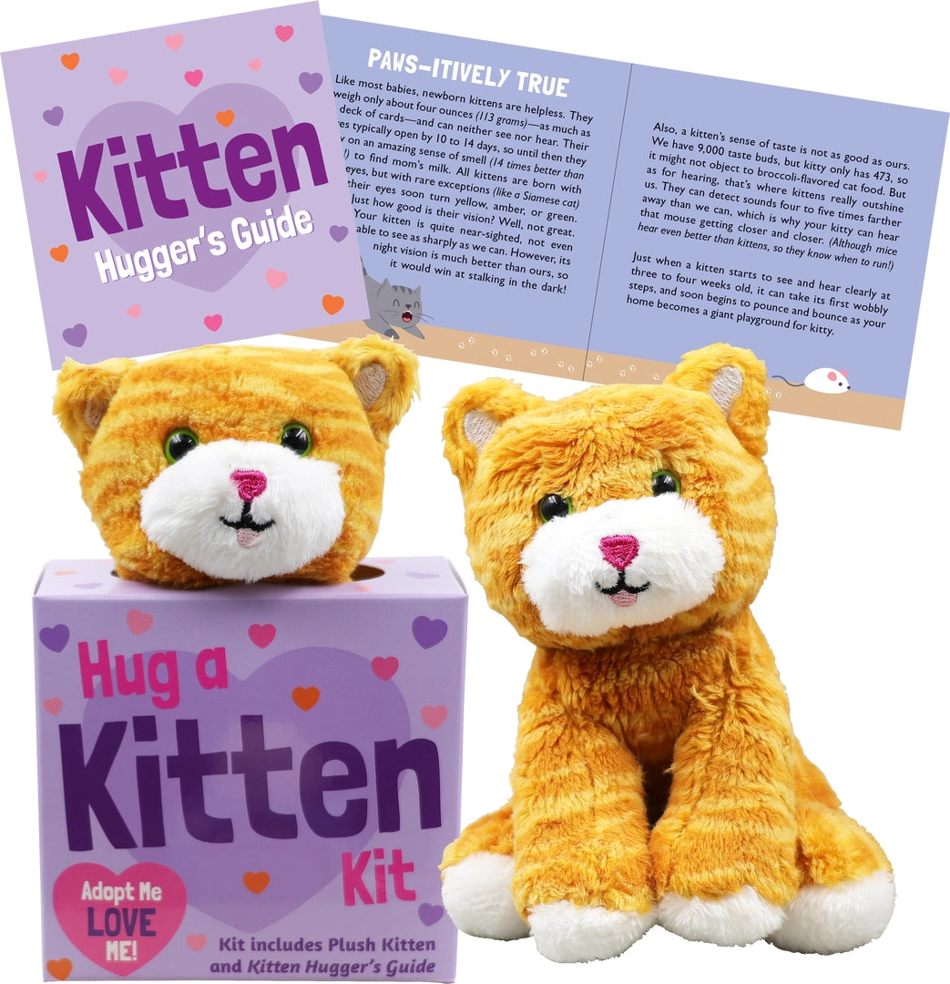 Small plush orange tabby kitten with pink nose sitting beside a purple Hug a Kitten Kit box and guide booklet.