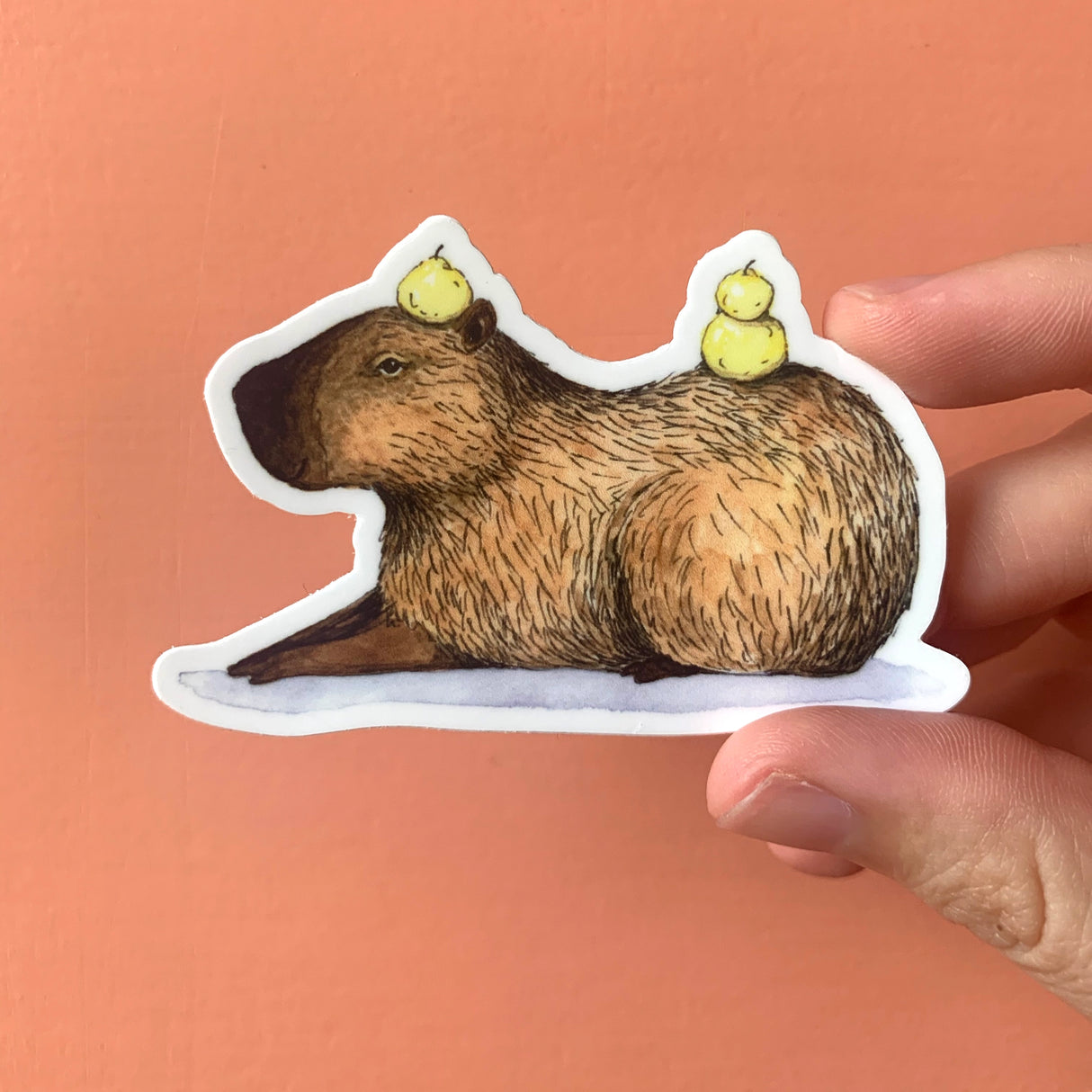 Capybara Laying Down with Yuzu Sticker
