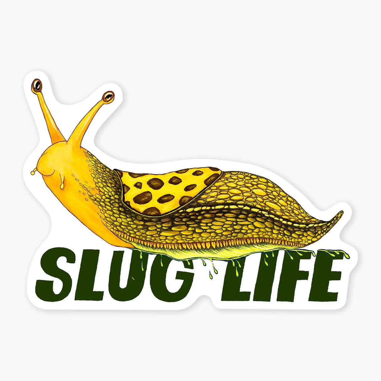 Slug Life Sticker
