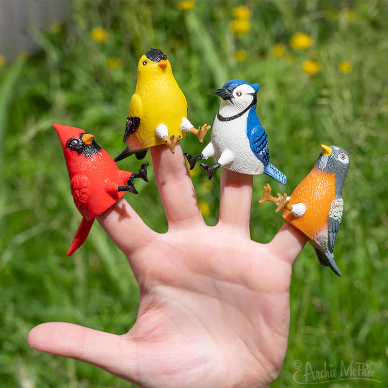 Finger Bird Feeder Bird shows four colorful bird finger puppets including cardinal, goldfinch, blue jay, and robin on a hand.