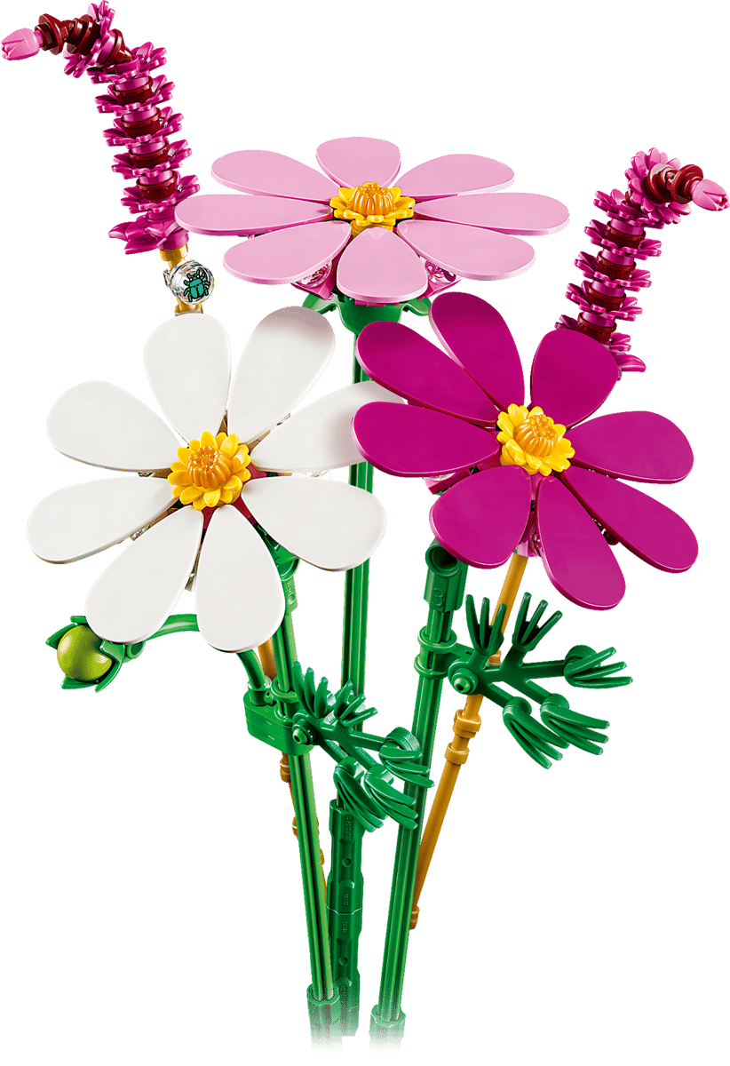 Botanicals Cosmos Flowers colorful bouquet with pink white and magenta blossoms