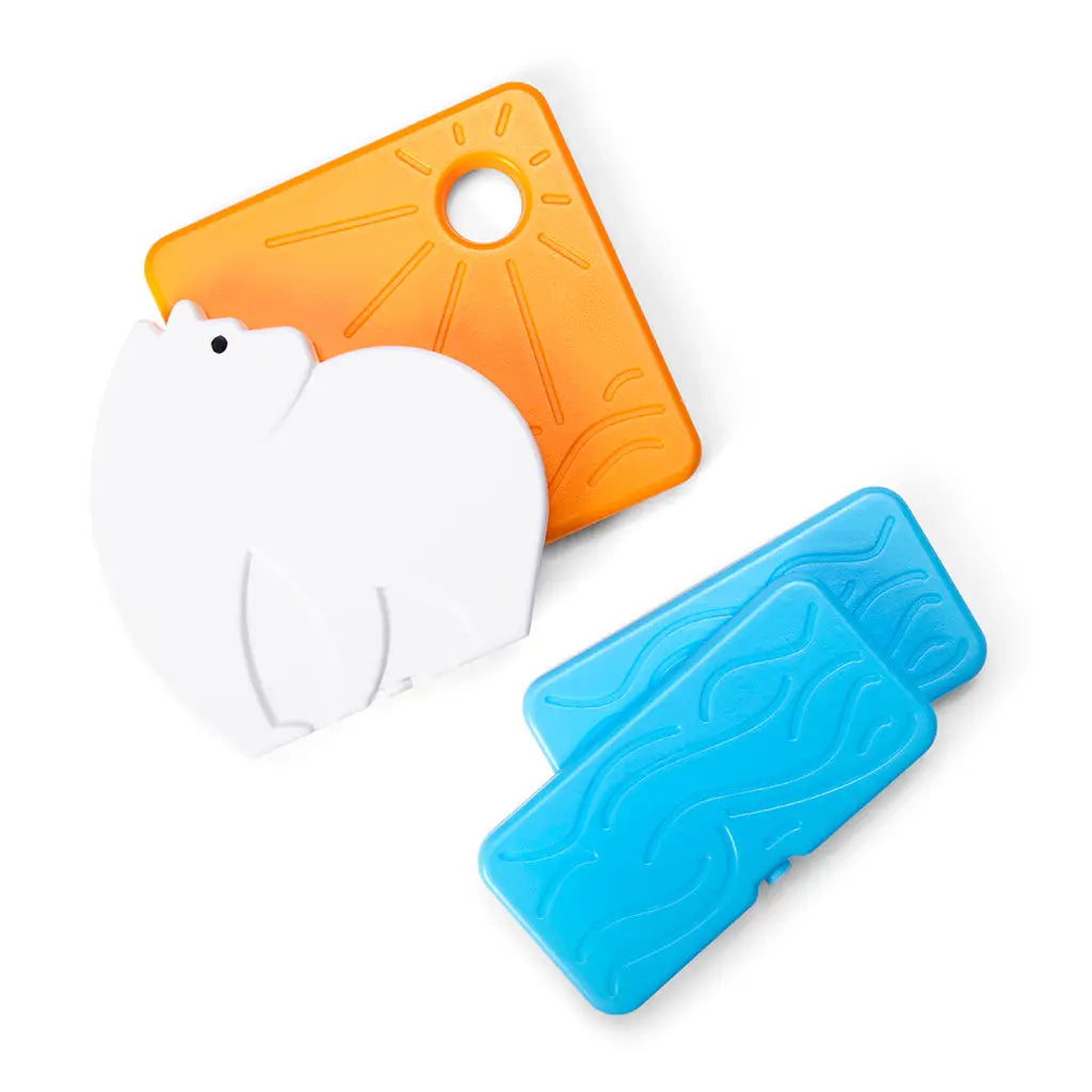 Back to Cool Ice Pack Set | Polar Bear Fun