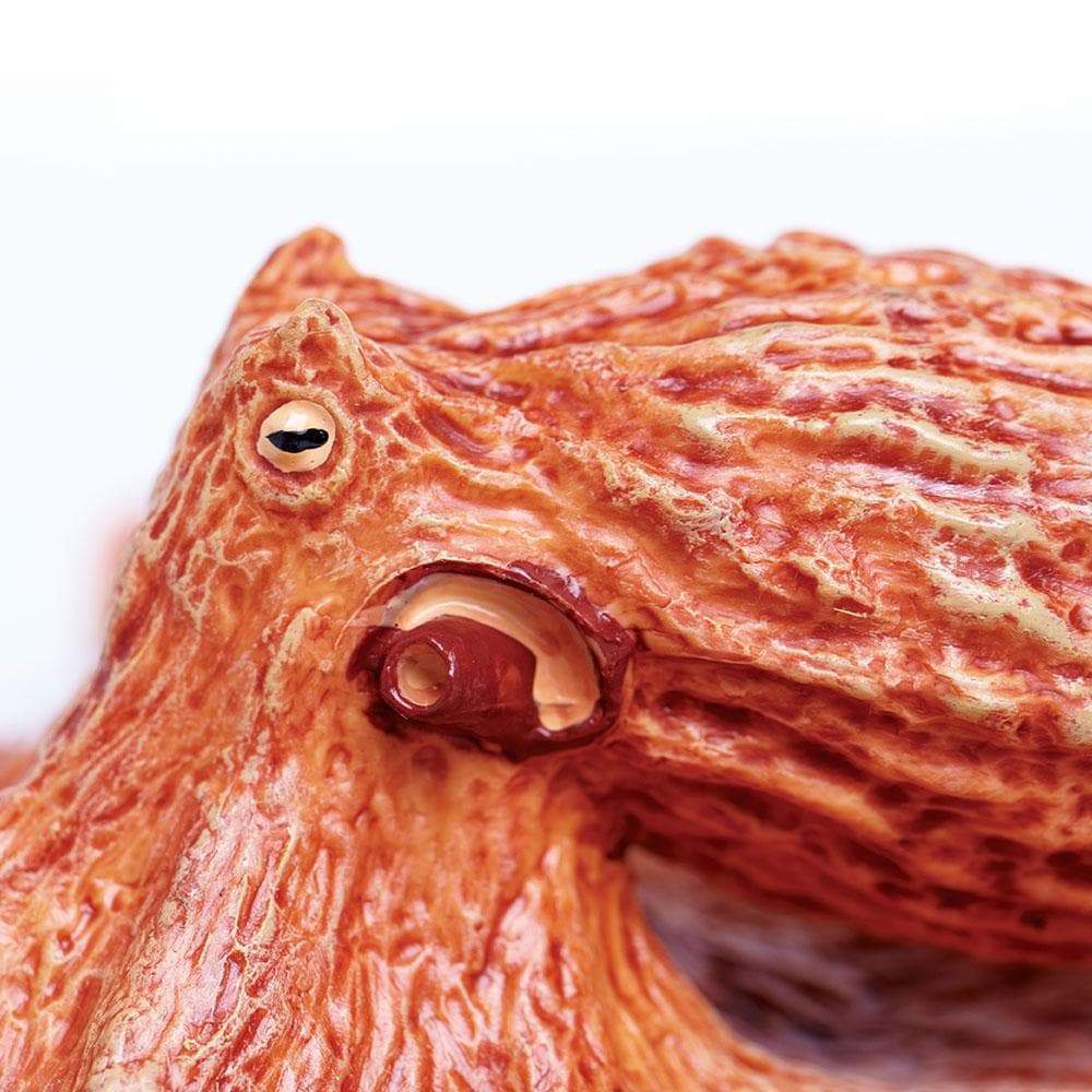 Close-up of the Giant Pacific Octopus model showing detailed texture and realistic yellow eye in reddish-orange hues.