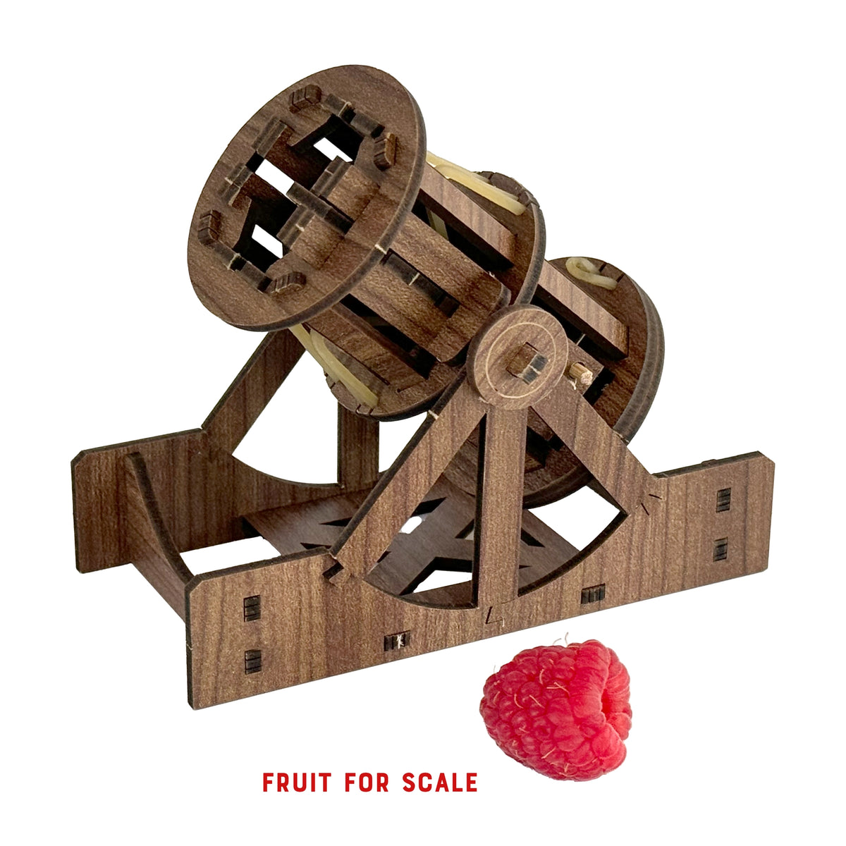 Make a Mini Cannon wooden science kit shown assembled with a raspberry for size reference