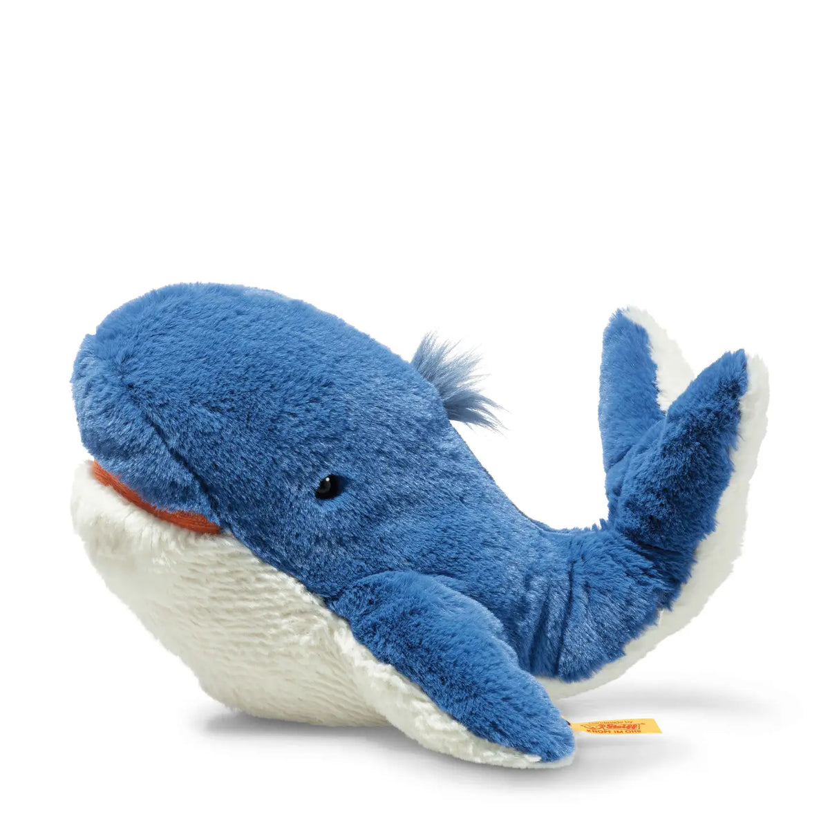 Blue Whale Tory
