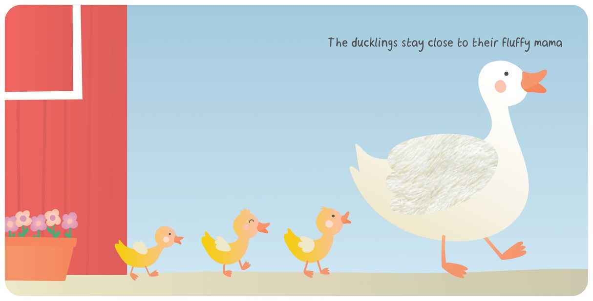 Farm Animals: My First Touch & Feel Book showing ducklings following their fluffy mama with touch and feel textures.