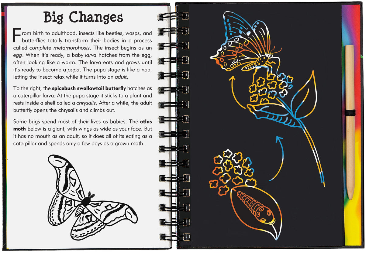 Scratch & Sketch | Bugs!