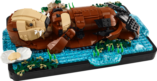 Ideas Floating Sea Otters