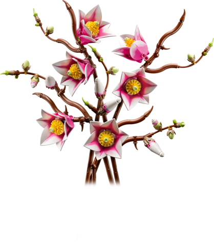 Botanicals Magnolia Branches