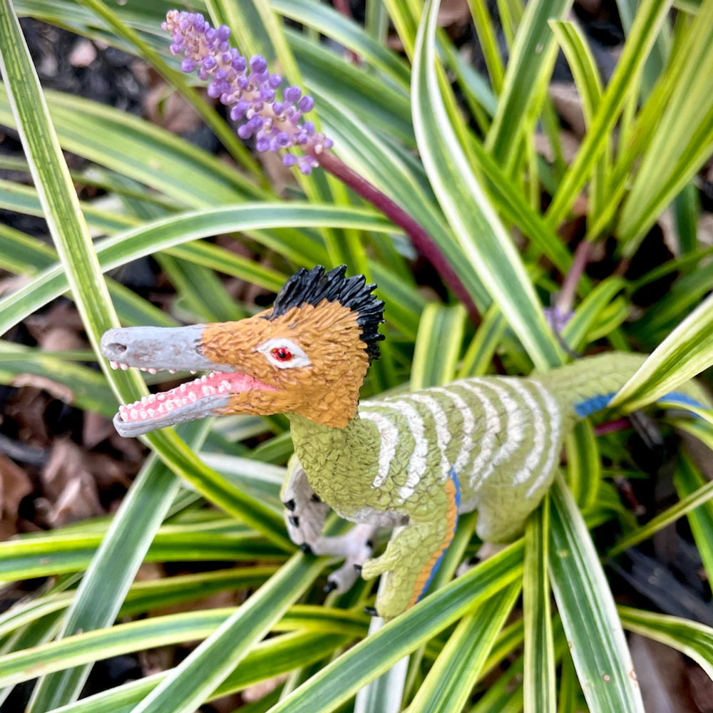 Austroraptor toy dinosaur figure showing detailed feathers, black crest, and cream stripes, posed on green foliage background.