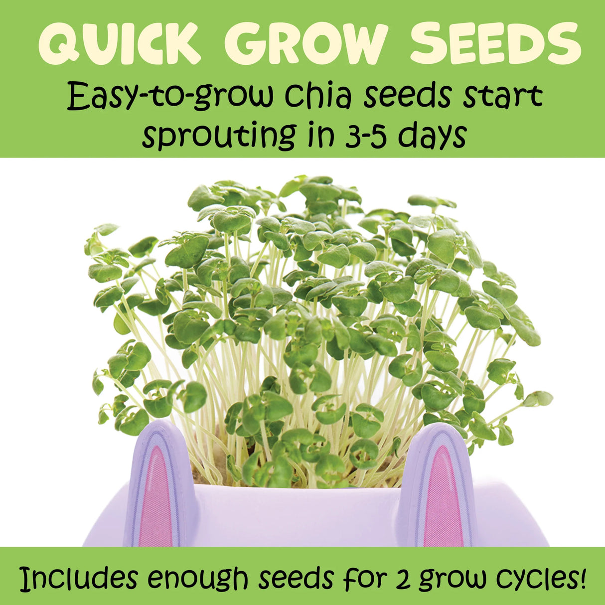 Plant A Pet Bunny chia seeds sprouting rapidly in a cute bunny planter, ready for indoor gardening fun.