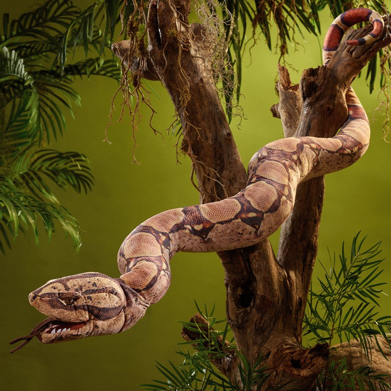 Boa Constrictor Puppet draped around a tree in a jungle setting