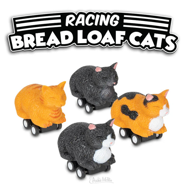 Racing Bread Loaf Cat toys in orange tabby, black, tuxedo, and calico designs on wheels, soft vinyl collectible racers.