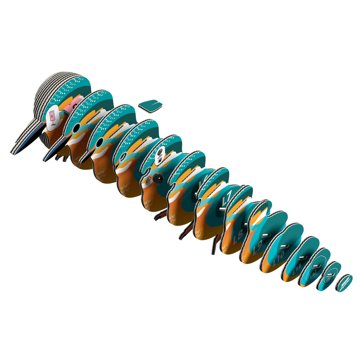 EUGY | Kingfisher 3D puzzle pieces showing colorful sections of the Kotare bird for eco-friendly assembly fun.